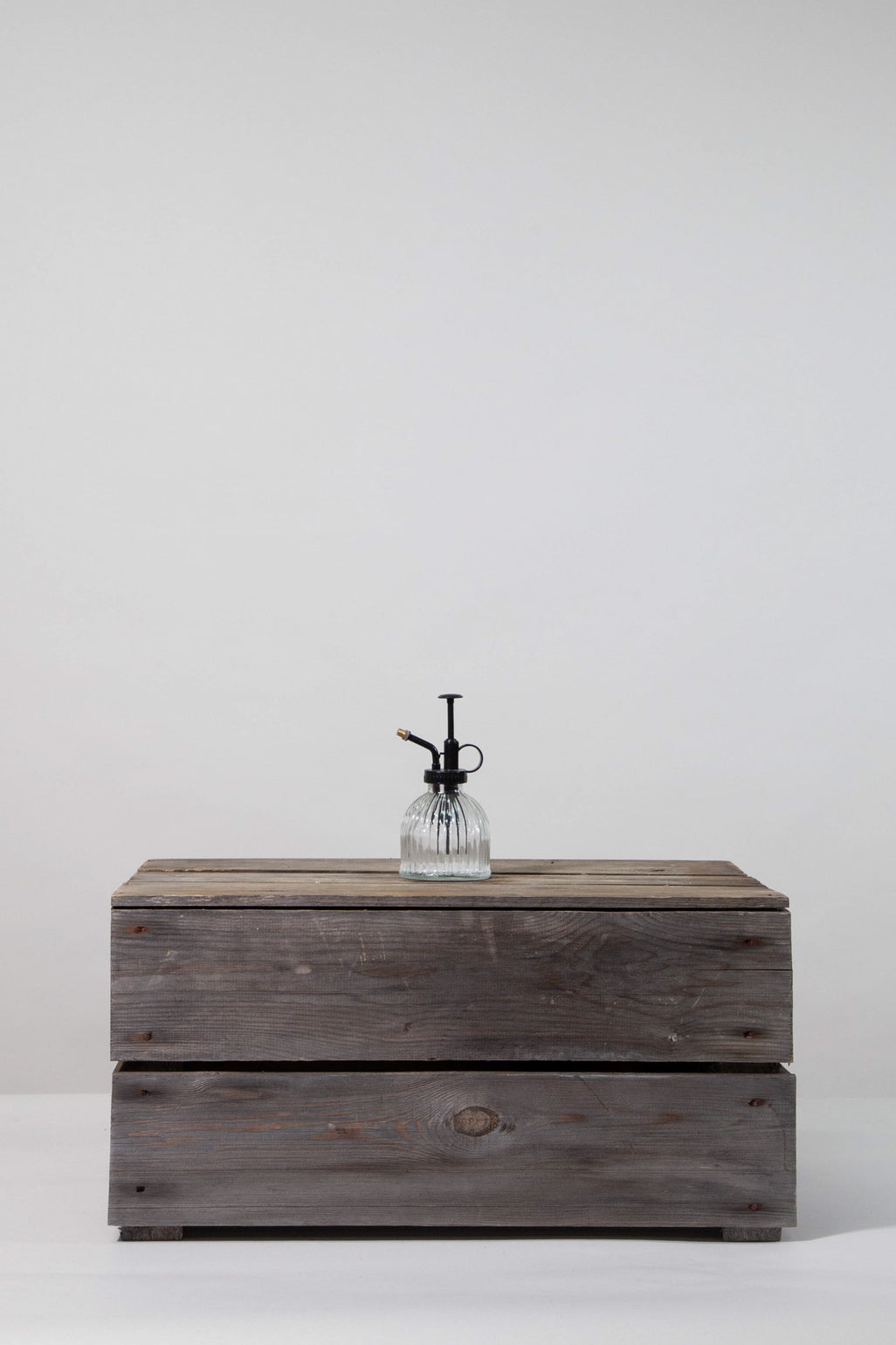 files/IndoorPlants-StudioShots13.11.2023-333.jpg